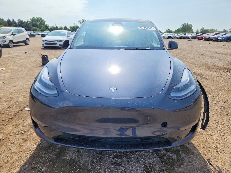 Aukcja sprzedaży 2025 Tesla Model Y, vin: 7SAYGDEE0SF217243, numer aukcji: 60242486