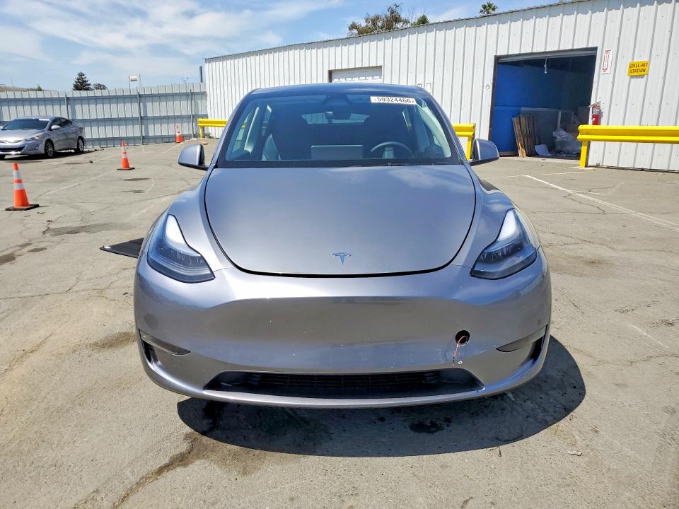 Продаж на аукціоні авто 2025 Tesla Model Y, vin: 7SAYGDEE0SF281167, номер лоту: 59324466