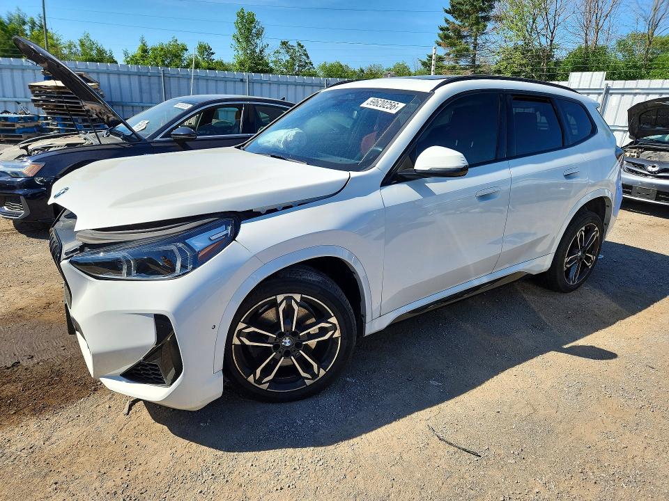 Aukcja sprzedaży 2023 Bmw X1, vin: WBX73EF02P5W54878, numer aukcji: 59620256