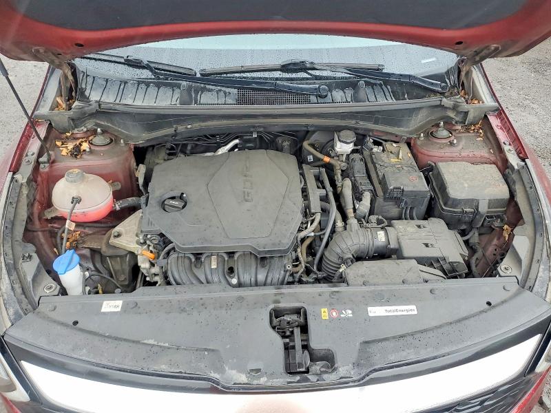 Продажа на аукционе авто 2023 Kia Sportage, vin: KNDPU3AF4P7138942, номер лота: 62425716