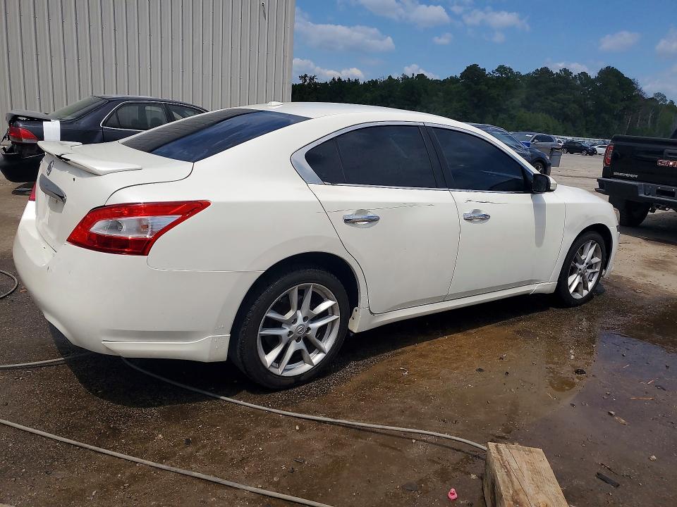 Продажа на аукционе авто 2010 Nissan Maxima, vin: 1N4AA5AP3AC851953, номер лота: 85968355