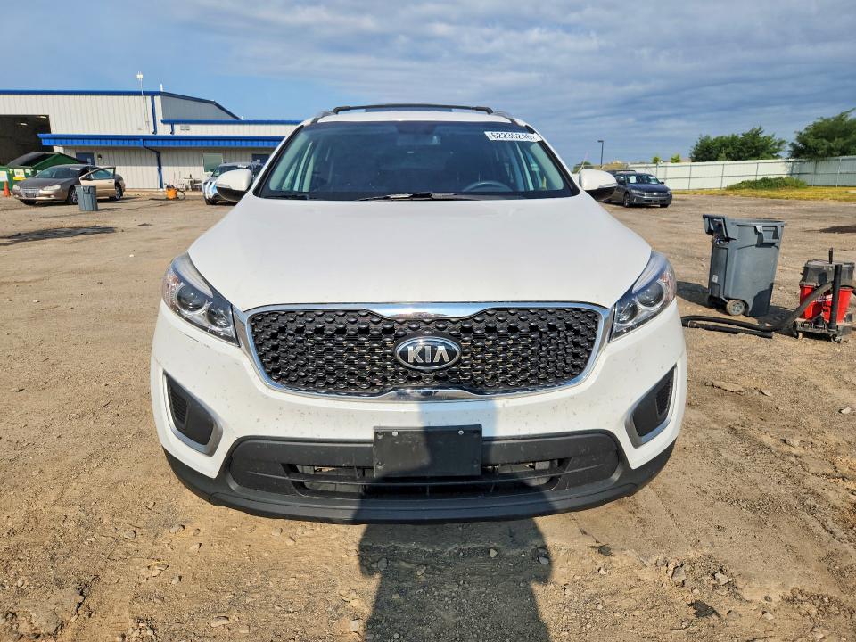 62236246 :رقم المزاد ، 5XYPGDA52HG209676 vin ، 2017 Kia Sorento مزاد بيع