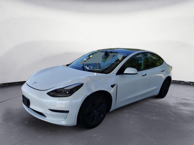 Продаж на аукціоні авто 2023 Tesla Model 3, vin: 5YJ3E1EAXPF436176, номер лоту: 64538963