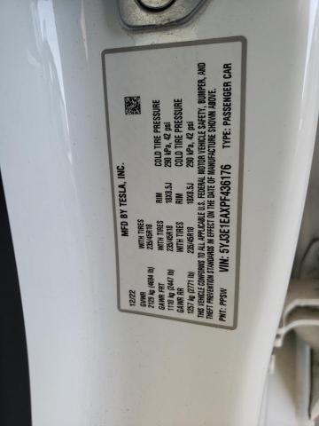 Продаж на аукціоні авто 2023 Tesla Model 3, vin: 5YJ3E1EAXPF436176, номер лоту: 64538963