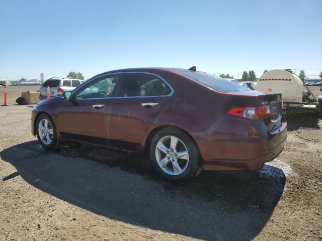 Продажа на аукционе авто 2009 Acura Tsx, vin: JH4CU26669C800191, номер лота: 63670163