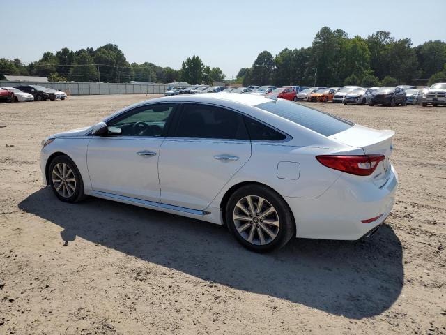 2017 Hyundai Sonata Sport მანქანა იყიდება აუქციონზე, vin: 5NPE34AF8HH481590, აუქციონის ნომერი: 64177093