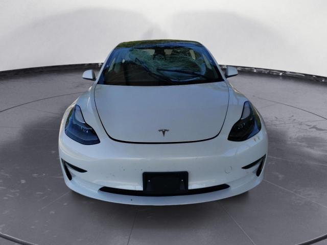 Продаж на аукціоні авто 2023 Tesla Model 3, vin: 5YJ3E1EAXPF436176, номер лоту: 64538963