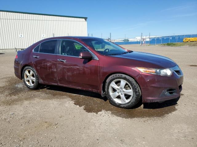 Продажа на аукционе авто 2009 Acura Tsx, vin: JH4CU26669C800191, номер лота: 63670163