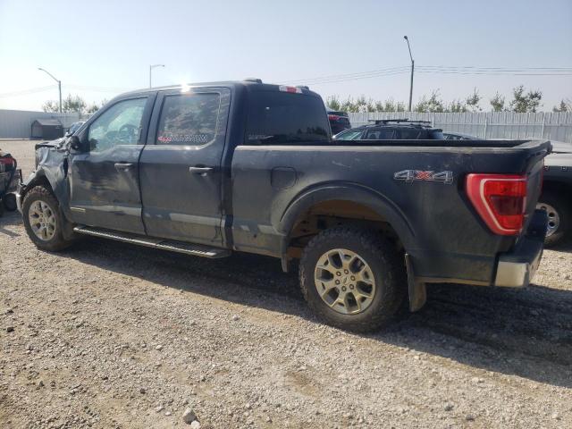 Продажа на аукционе авто 2023 Ford F150 Supercrew, vin: 1FTFW1ED2PFA60802, номер лота: 66104983