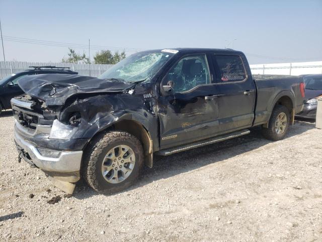 Продажа на аукционе авто 2023 Ford F150 Supercrew, vin: 1FTFW1ED2PFA60802, номер лота: 66104983