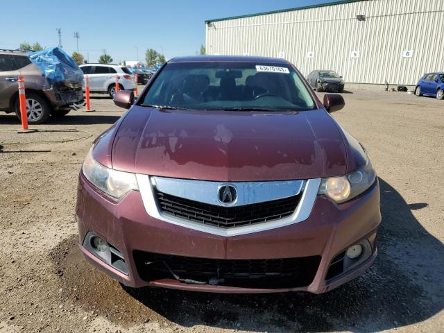 Продажа на аукционе авто 2009 Acura Tsx, vin: JH4CU26669C800191, номер лота: 63670163