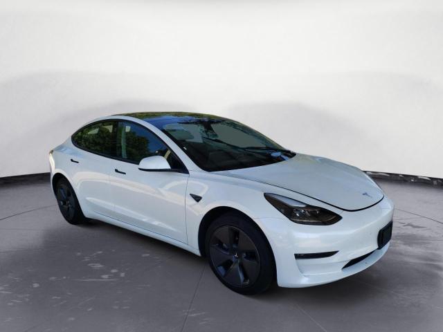 Продаж на аукціоні авто 2023 Tesla Model 3, vin: 5YJ3E1EAXPF436176, номер лоту: 64538963
