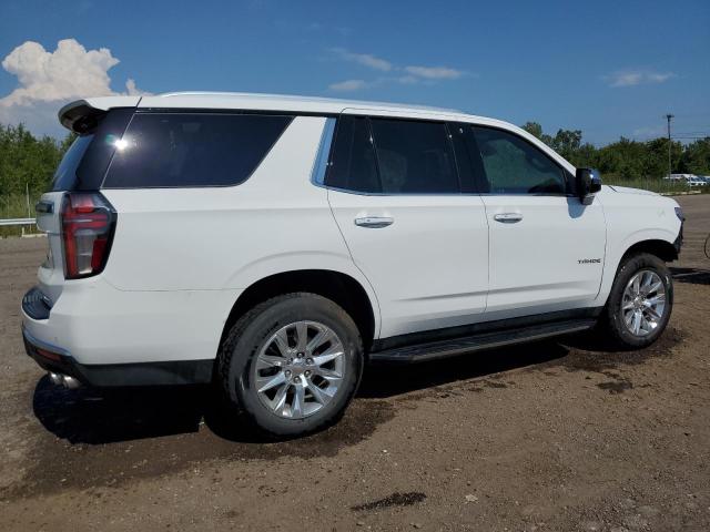 Продаж на аукціоні авто 2023 Chevrolet Tahoe K150, vin: 1GNSKSKD9PR338668, номер лоту: 67406334