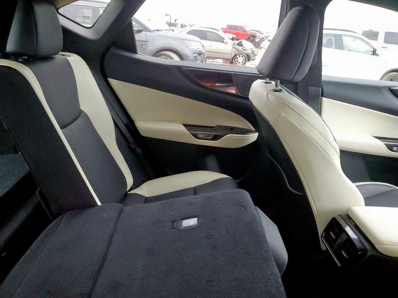 66875575 :رقم المزاد ، 2T2ADCAZ0RC007052 vin ، 2024 Lexus Nx 250 Bas مزاد بيع