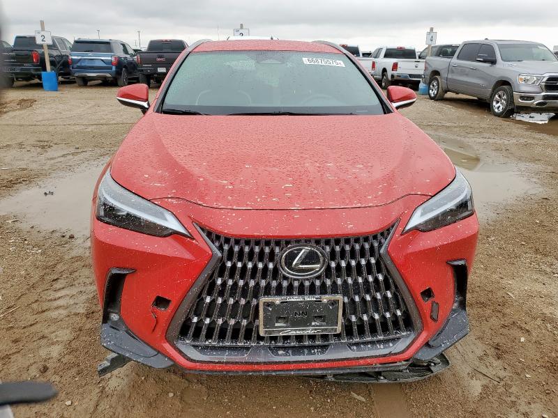 66875575 :رقم المزاد ، 2T2ADCAZ0RC007052 vin ، 2024 Lexus Nx 250 Bas مزاد بيع
