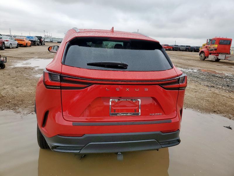 66875575 :رقم المزاد ، 2T2ADCAZ0RC007052 vin ، 2024 Lexus Nx 250 Bas مزاد بيع