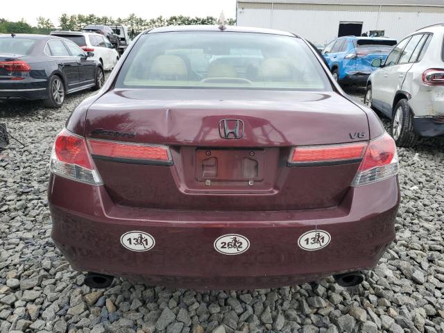 Продаж на аукціоні авто 2011 Honda Accord Exl, vin: 1HGCP3F83BA025786, номер лоту: 67370635
