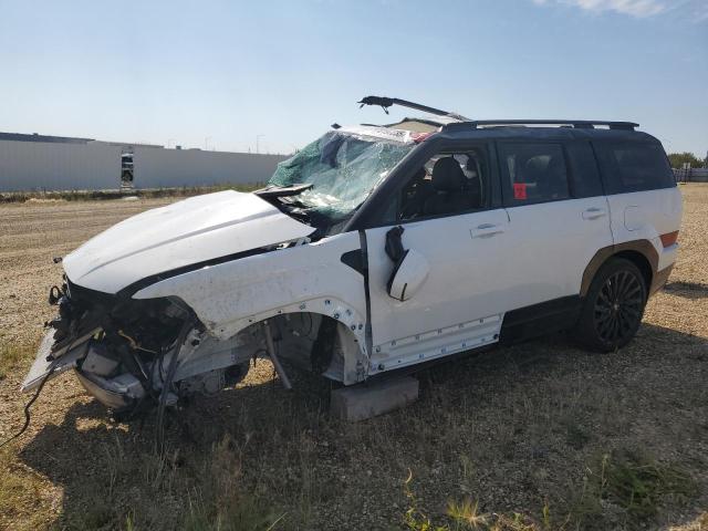 Aukcja sprzedaży 2025 Hyundai Santa Fe, vin: 5NMP5DGL1SH133196, numer aukcji: 70197235