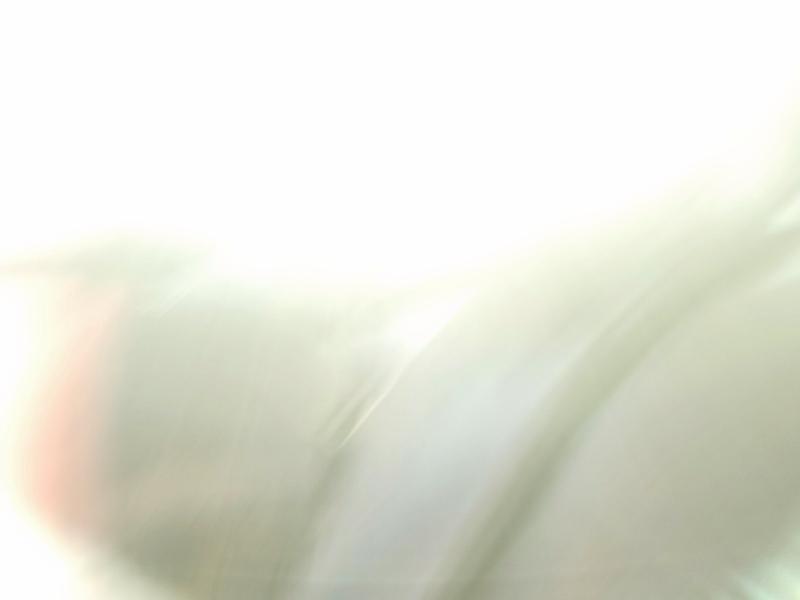 Aukcja sprzedaży 2021 Toyota Corolla Le, vin: 5YFEPMAE4MP256348, numer aukcji: 66455205