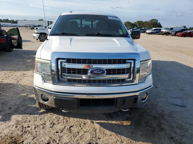 67864025 :رقم المزاد ، 1FTFW1ET3EKE00700 vin ، 2014 Ford F150 مزاد بيع