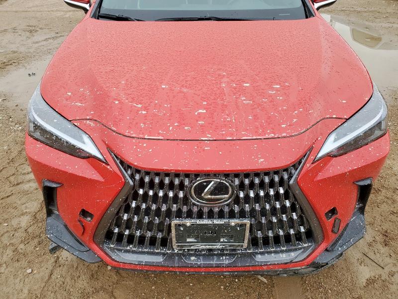 66875575 :رقم المزاد ، 2T2ADCAZ0RC007052 vin ، 2024 Lexus Nx 250 Bas مزاد بيع