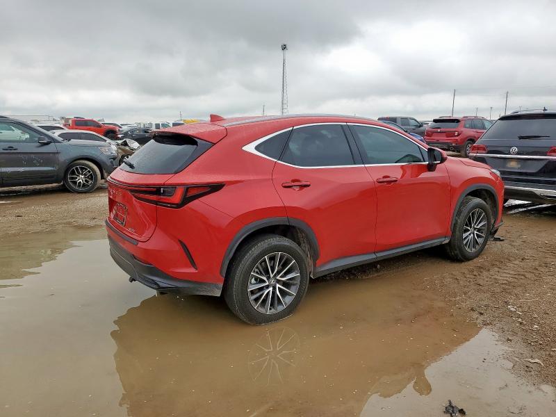 66875575 :رقم المزاد ، 2T2ADCAZ0RC007052 vin ، 2024 Lexus Nx 250 Bas مزاد بيع