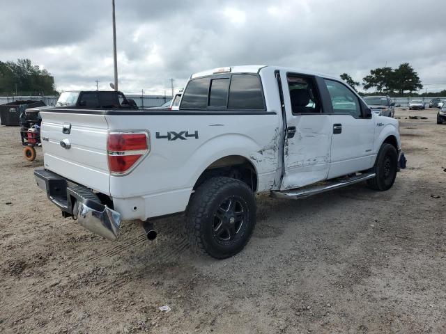 67864025 :رقم المزاد ، 1FTFW1ET3EKE00700 vin ، 2014 Ford F150 مزاد بيع