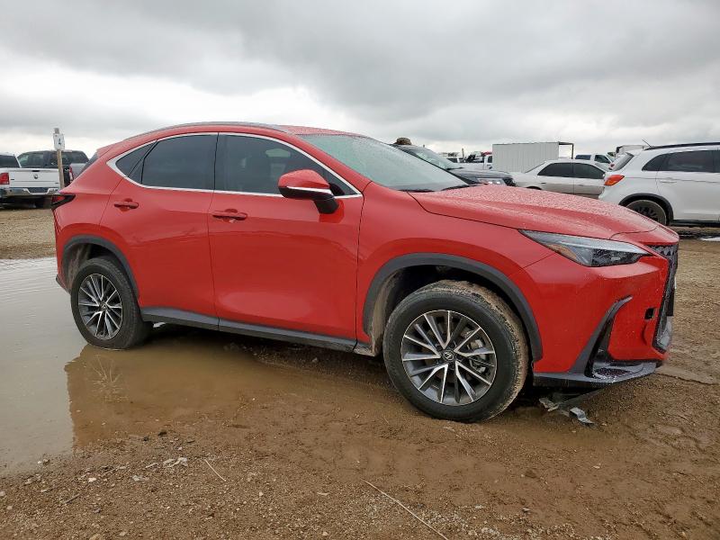 66875575 :رقم المزاد ، 2T2ADCAZ0RC007052 vin ، 2024 Lexus Nx 250 Bas مزاد بيع