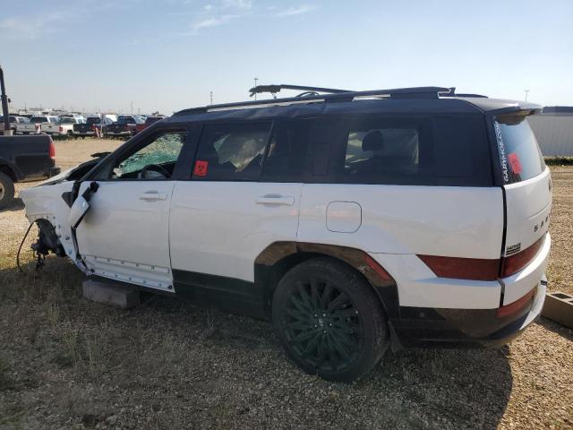 Aukcja sprzedaży 2025 Hyundai Santa Fe, vin: 5NMP5DGL1SH133196, numer aukcji: 70197235