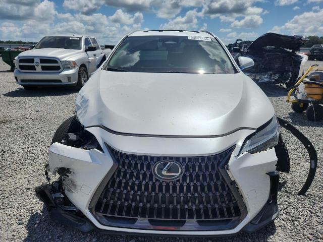 65522156 :رقم المزاد ، 2T2GDCAZ8RC009061 vin ، 2024 Lexus Nx مزاد بيع