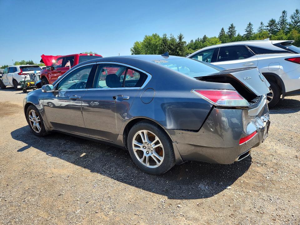 Продаж на аукціоні авто 2009 Acura Tl, vin: 19UUA862X9A800481, номер лоту: 63395606