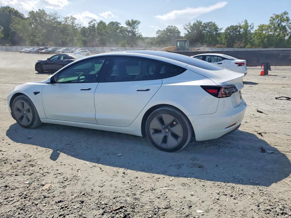 Продаж на аукціоні авто 2021 Tesla Model 3, vin: 5YJ3E1EA1MF920748, номер лоту: 65728656