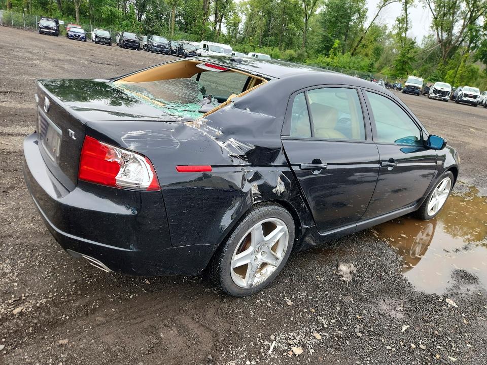65007976 :رقم المزاد ، 19UUA66206A041095 vin ، 2006 Acura 3.2tl مزاد بيع