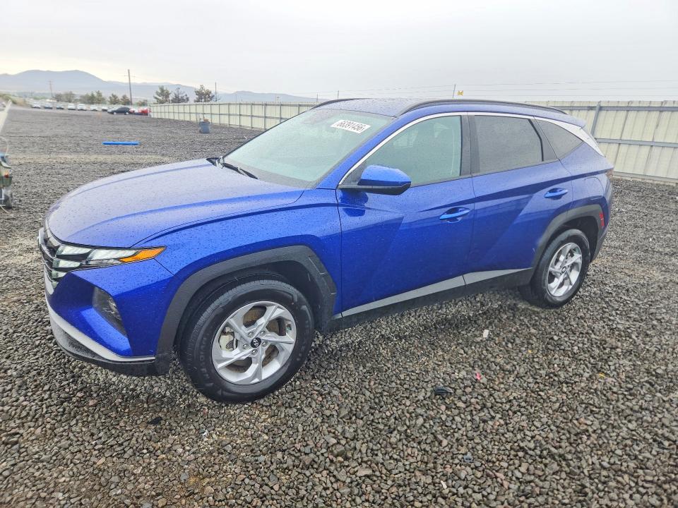 Продажа на аукционе авто 2024 Hyundai Tucson, vin: 5NMJBCDE9RH318038, номер лота: 66391456