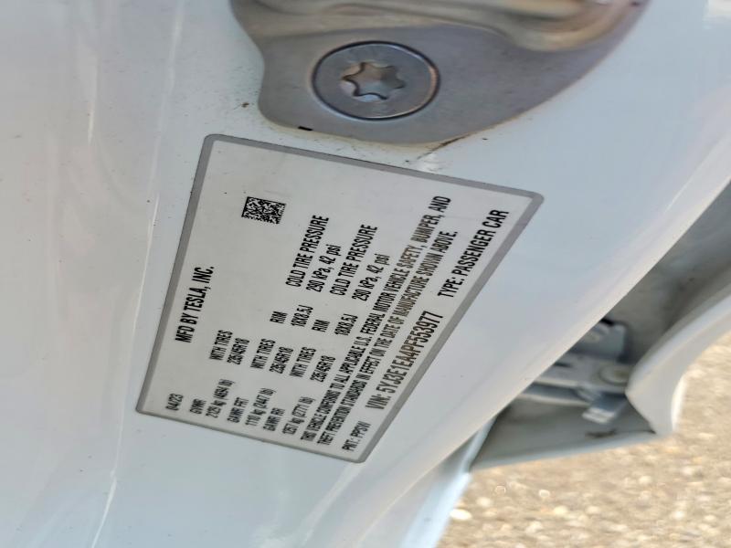 2023 Tesla Model 3 მანქანა იყიდება აუქციონზე, vin: 5YJ3E1EA4PF553977, აუქციონის ნომერი: 65141406