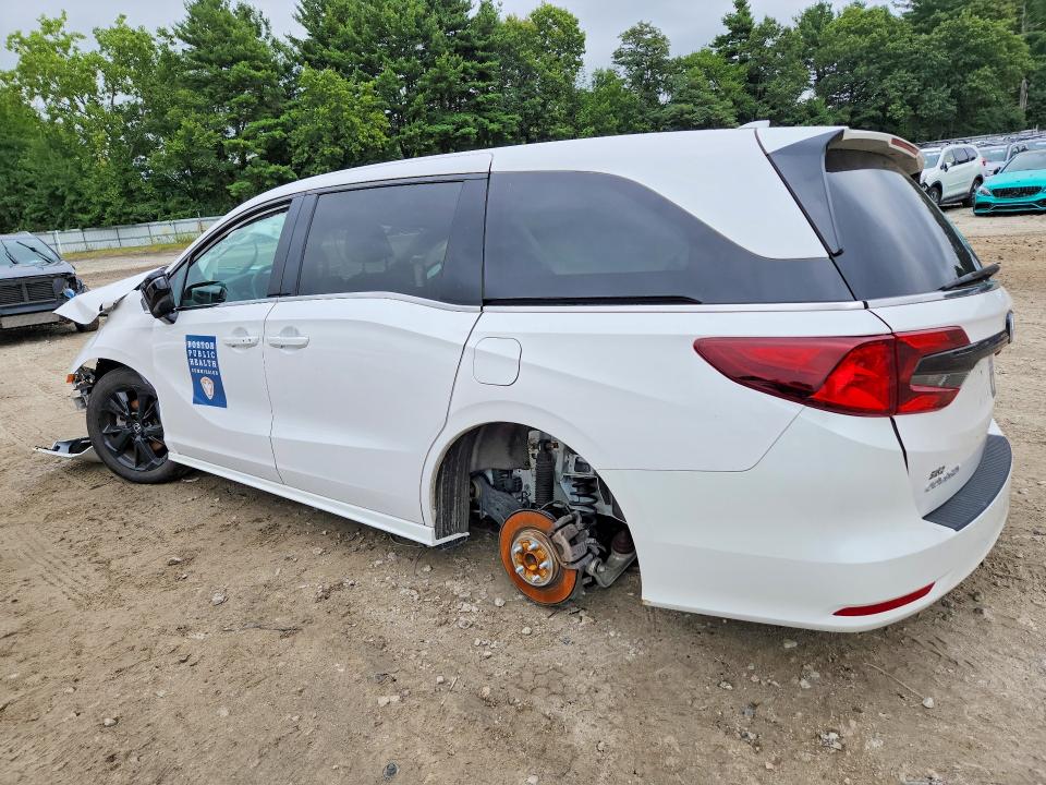 Продаж на аукціоні авто 2024 Honda Odyssey, vin: 5FNRL6H77RB067826, номер лоту: 64285526