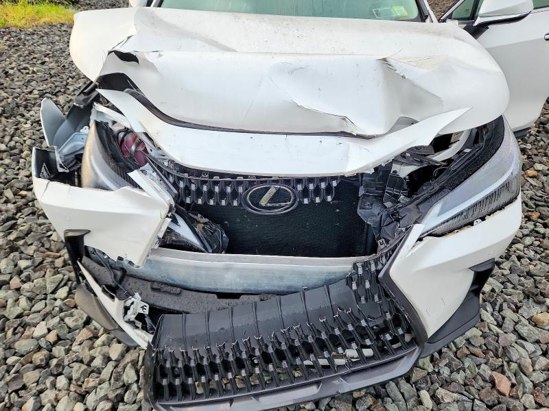 Продаж на аукціоні авто 2025 Lexus Nx 250, vin: 2T2ADCEZ9SC005509, номер лоту: 65487076