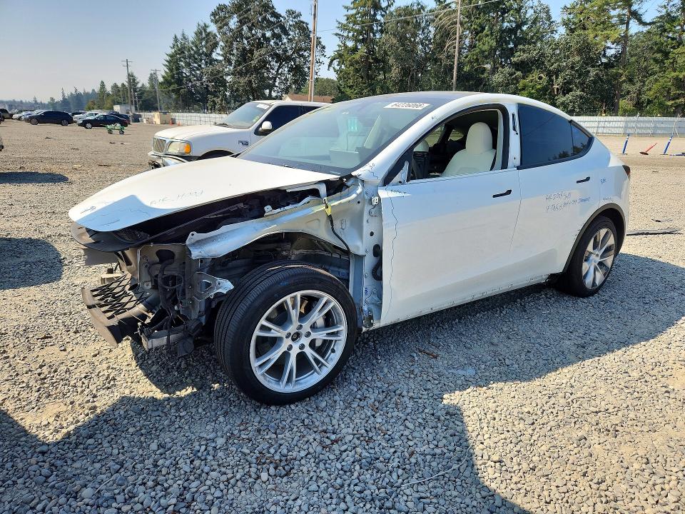 Aukcja sprzedaży 2024 Tesla Model Y, vin: 7SAYGDEE3RF075495, numer aukcji: 64226066