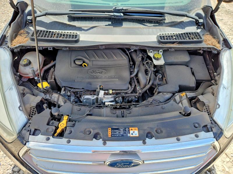 66773676 :رقم المزاد ، 1FMCU0GD1HUD05730 vin ، 2017 Ford Escape مزاد بيع