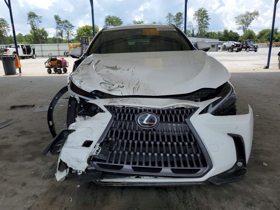 2026 Lexus Nx მანქანა იყიდება აუქციონზე, vin: 2T2GGCEZ6TC101181, აუქციონის ნომერი: 64856286