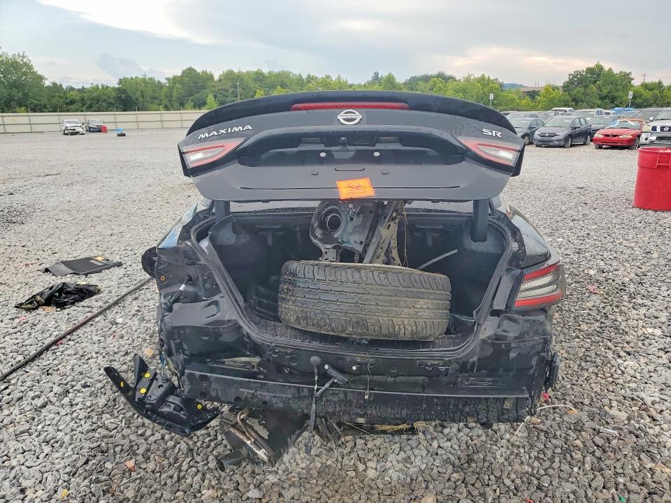 Продаж на аукціоні авто 2021 Nissan Maxima, vin: 1N4AA6EV6MC502448, номер лоту: 64281426