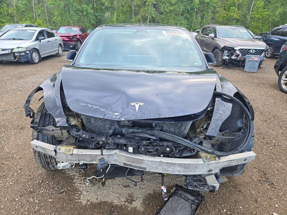 Продажа на аукционе авто 2019 Tesla Model 3, vin: 5YJ3E1EBXKF199884, номер лота: 65938506