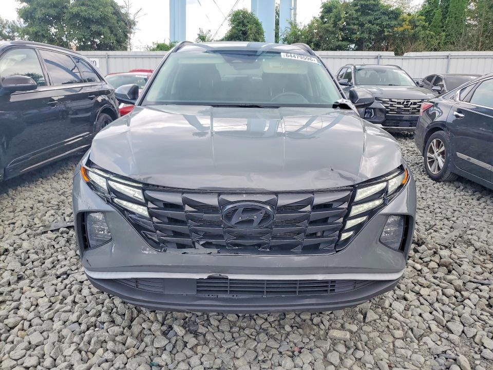 Продаж на аукціоні авто 2024 Hyundai Tucson, vin: 5NMJBCDEXRH296048, номер лоту: 64479596