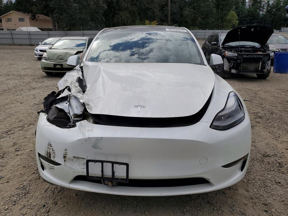 Aukcja sprzedaży 2023 Tesla Model Y, vin: 7SAYGDEE7PF691830, numer aukcji: 66756216