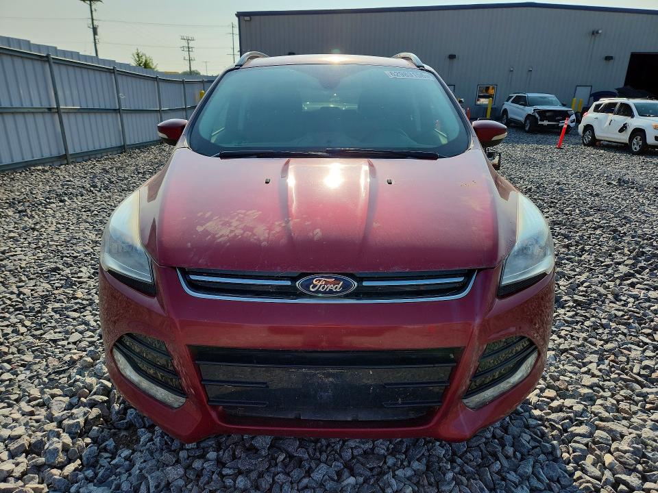 2016 Ford Escape მანქანა იყიდება აუქციონზე, vin: 1FMCU9J96GUA05561, აუქციონის ნომერი: 62983156