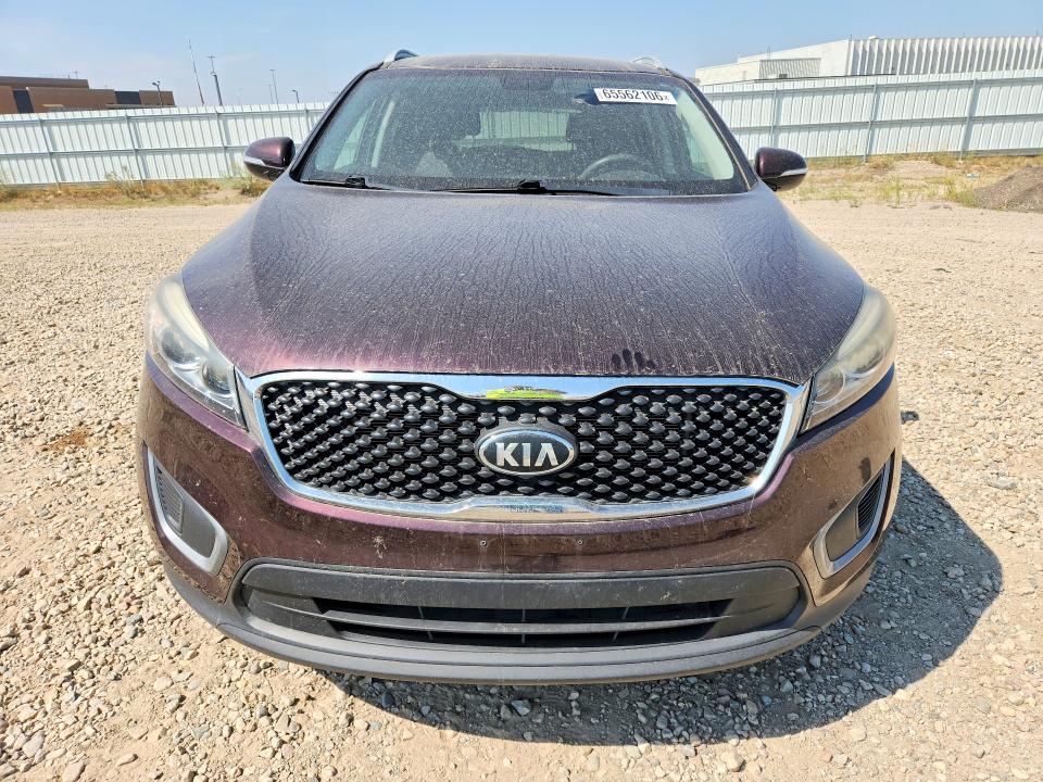 Продажа на аукционе авто 2016 Kia Sorento, vin: 5XYPG4A37GG045628, номер лота: 65562106