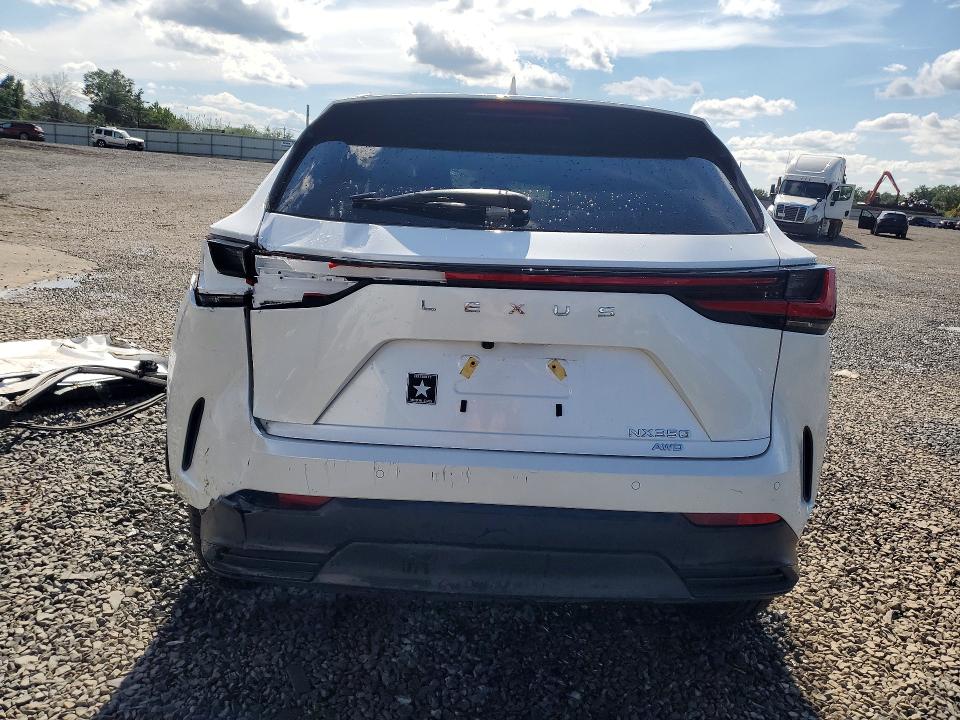 Auction sale of the 2025 Lexus Nx 350, vin: 2T2AGCEZ1SC080289, lot number: 63021936