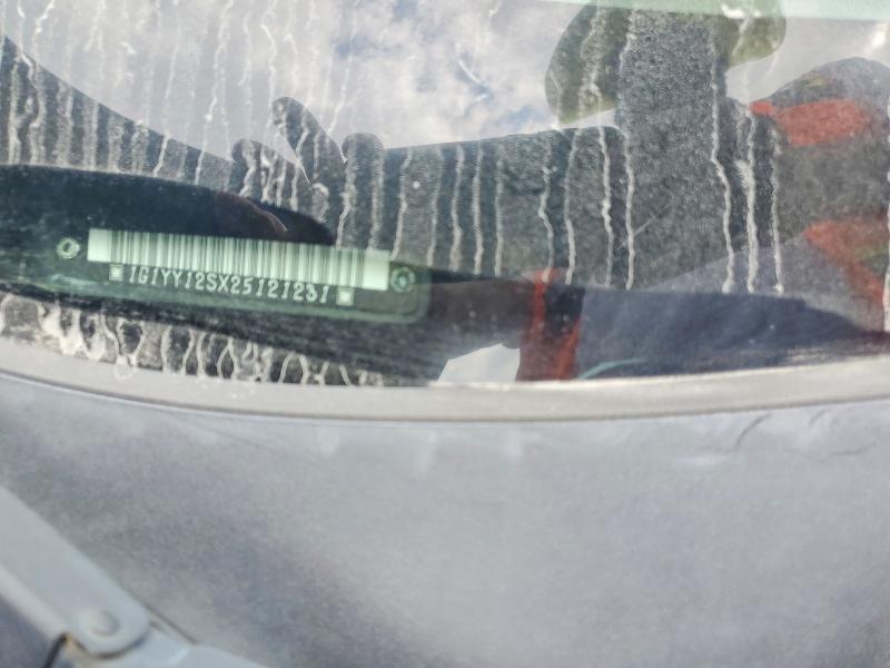 2002 Chevrolet Corvette მანქანა იყიდება აუქციონზე, vin: 1G1YY12SX25121231, აუქციონის ნომერი: 66721816