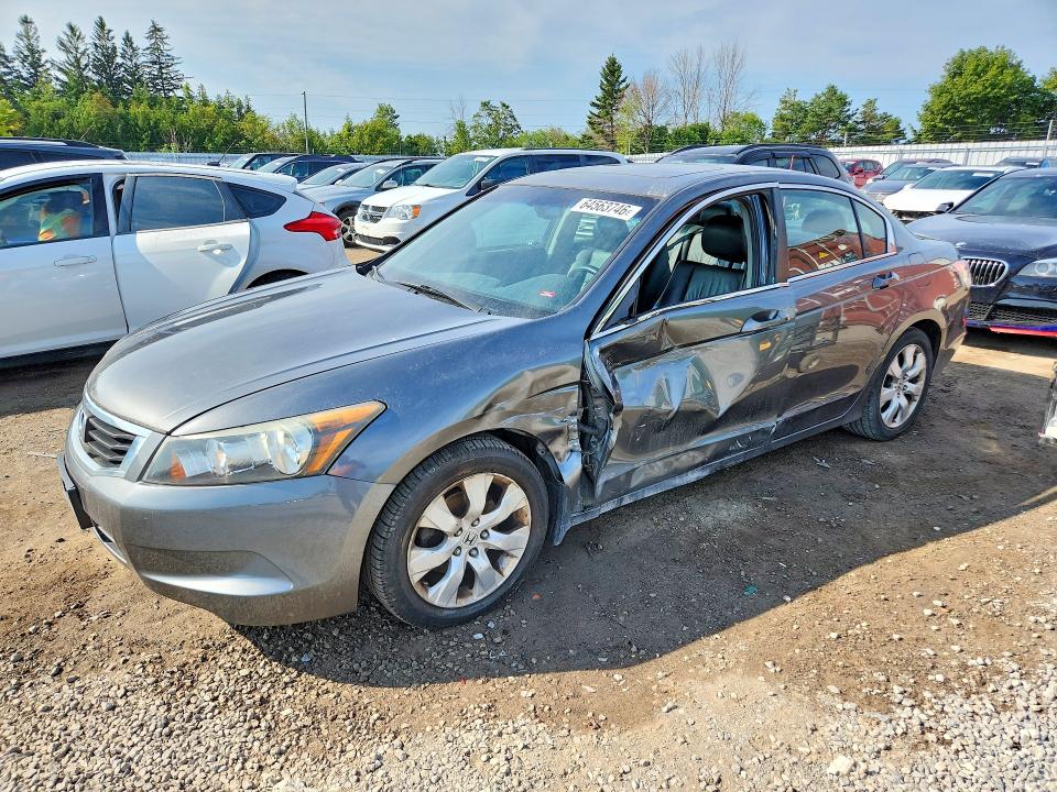 Auction sale of the 2010 Honda Accord, vin: 1HGCP2F85AA807757, lot number: 64563746