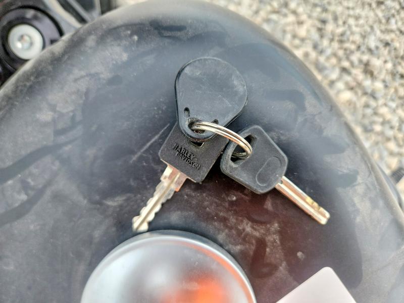 63920856 :رقم المزاد ، 1HD4LE214LB432254 vin ، 2020 Harley-davidson Xl883 مزاد بيع